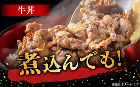 【6回定期便】飛騨牛切り落とし 500g【肉の丸長】 和牛 ブランド牛 国産  [TAZ013]