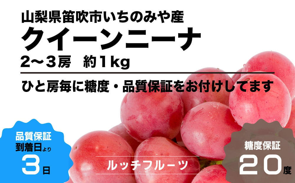 
            【全房糖度20度保証付】クイーンニーナ  約1kg 2～3房【2025年発送】＜希少品種＞ルッチスタッフいち推し！人気急上昇中！【数量限定】旬の美味しいフルーツだけをお届けします【ルッチ Rucci】産地直送 山梨県 笛吹市 果物 葡萄 ぶどう 赤ブドウ 赤系 贈答 贈り物 化粧箱 ギフト 人気 ランキング リピート 高評価 2025年 令和7年 先行予約 期間限定 104-044
          