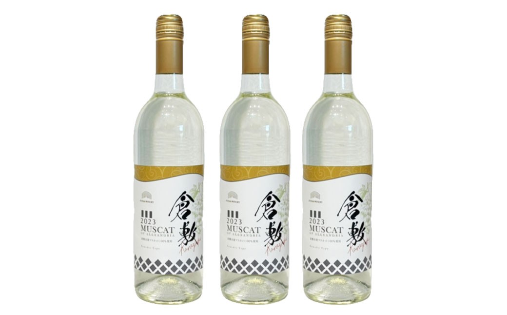 
            ふなおワイナリー マスカット・オブ・アレキサンドリア　【やや辛口】 750ml×3本【ワイン スパークリングワイン ふなおワイナリー お酒 酒 さけ岡山県 倉敷市 人気 おすすめ】
          