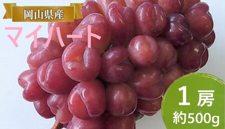 ぶどう 【2026年 早期受付】 マイハート 1房 約500g ぶどう