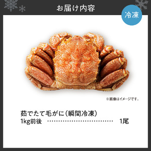 茹でたて毛がに(瞬間冷凍）1kg前後｜北海道産 毛ガニ 蟹 茹でたて 北海道 札幌市