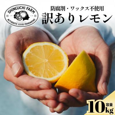 ふるさと納税 八幡浜市 【太陽の恵みをギュッと凝縮】訳あり 愛媛レモン10kg 防腐剤・ワックス不使用【F70-23】