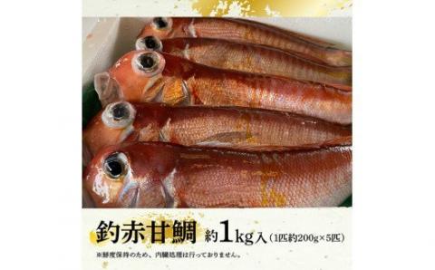 『釣赤甘鯛 C』_鮮魚さかな九州宮崎川南町新鮮魚介海の幸魚介類たい送料無料魚介 [G4407]