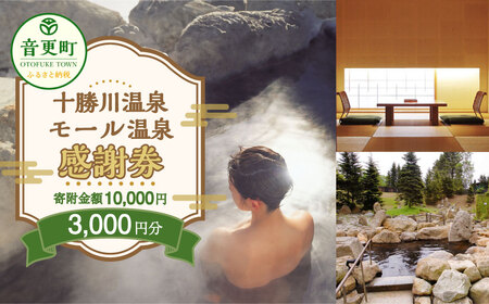 十勝川温泉モール温泉感謝券3000円分【T-10000】