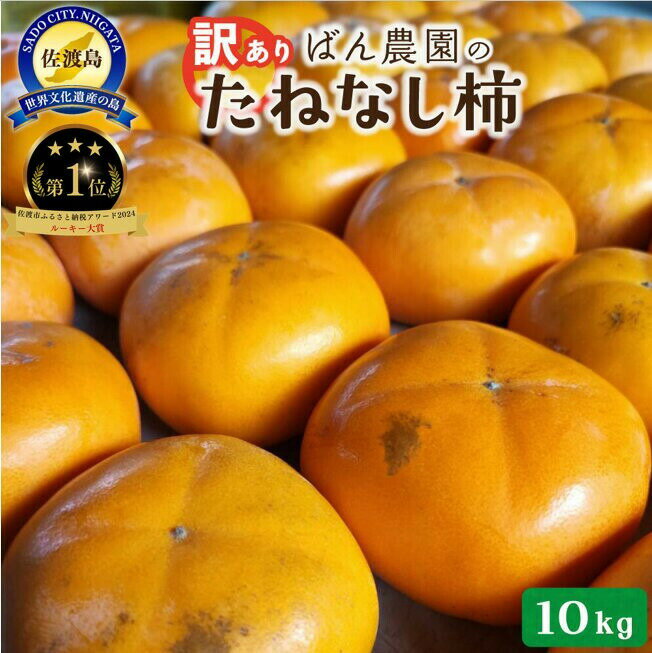 【ふるさと納税】【訳あり】柿 たねなし柿 10kg 箱込み重量 佐渡島産 平核無柿 刀根早生柿 渋抜き済み かき カキ 規格外 家庭用 大容量 フルーツ 果物 くだもの 秋の味覚 贈答用 ギフト プレゼント 贈り物 お取り寄せ グルメ 新潟県 佐渡市 ※2026年10月以降発送