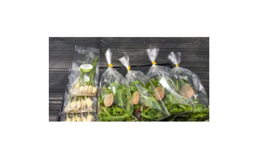 ＜栽培期間中農薬不使用＞スプラウトにんにく5個×3袋・べビーリーフ約40g×4袋のセット　【1537250】