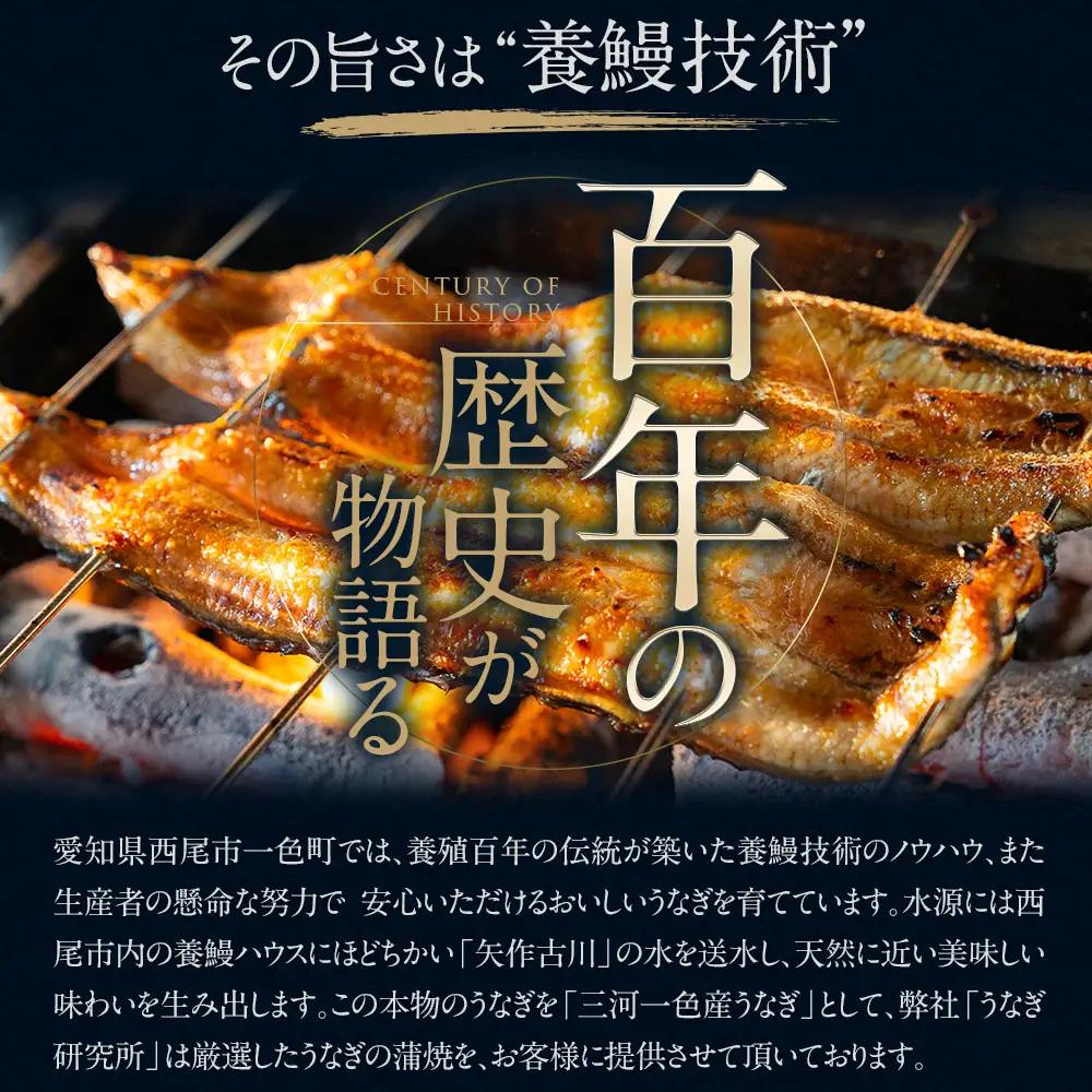 【期間限定】三河一色産うなぎ白焼き大1尾蒲焼大1尾(計280g以上)・R005-16