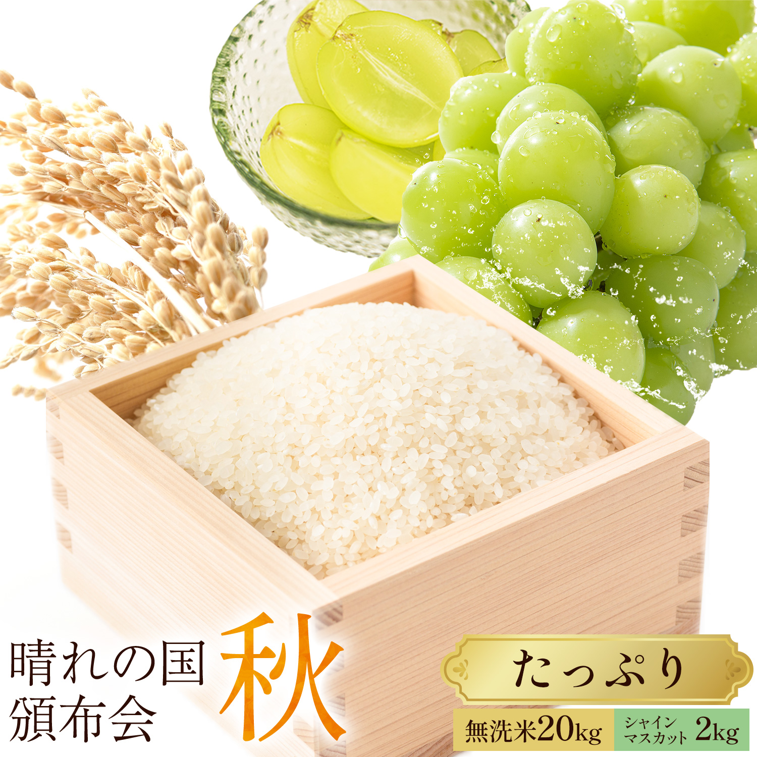 晴れの国頒布会 秋 いちおし 無洗米 20kg シャインマスカット 2kg 《ページ内記載の時期に発送》岡山県 笠岡市 フルーツ 旬 果物 葡萄 ぶどう コメ---kasaoka_zsytei_369_o3---