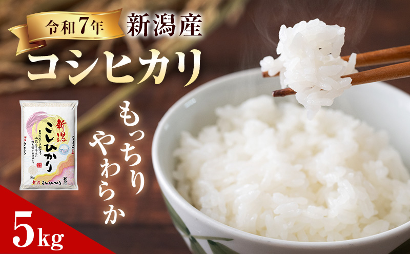 新潟県産 コシヒカリ 5kg 令和7年産 米 お米 こしひかり 白米 精米 新潟 産地直送 単一原料米