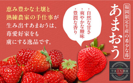 【1月発送】あまおう DXG 1080g (270g以上×4P) 《豊前市》【山口農園】果物 いちご イチゴ 苺 [VDE003]