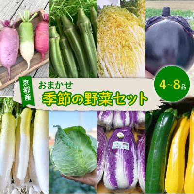 ふるさと納税 久御山町 京都府久御山町産　おまかせ 季節の野菜 詰め合わせセット 4〜8品