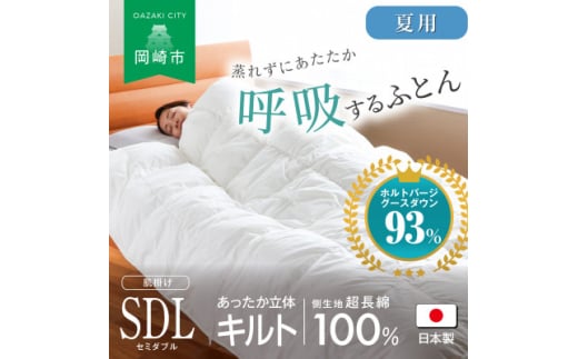 [夏用]究極に軽く、蒸れない羽毛ふとん (セミダブルロングサイズ)170x210cm(HVG)【1615527】