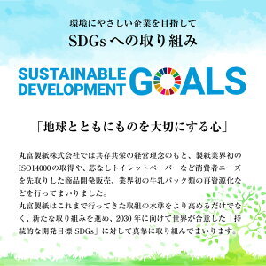 花束2倍巻き12Rトイレットペーパーシングル再生紙100ｍエコ　　省スペース（1582）