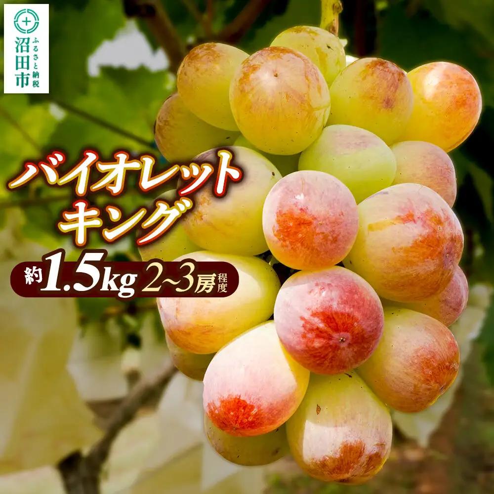 ぶどう バイオレットキング 約1.5kg（2～3房程度） ぶどう農園 ラ・テール 沼田市産