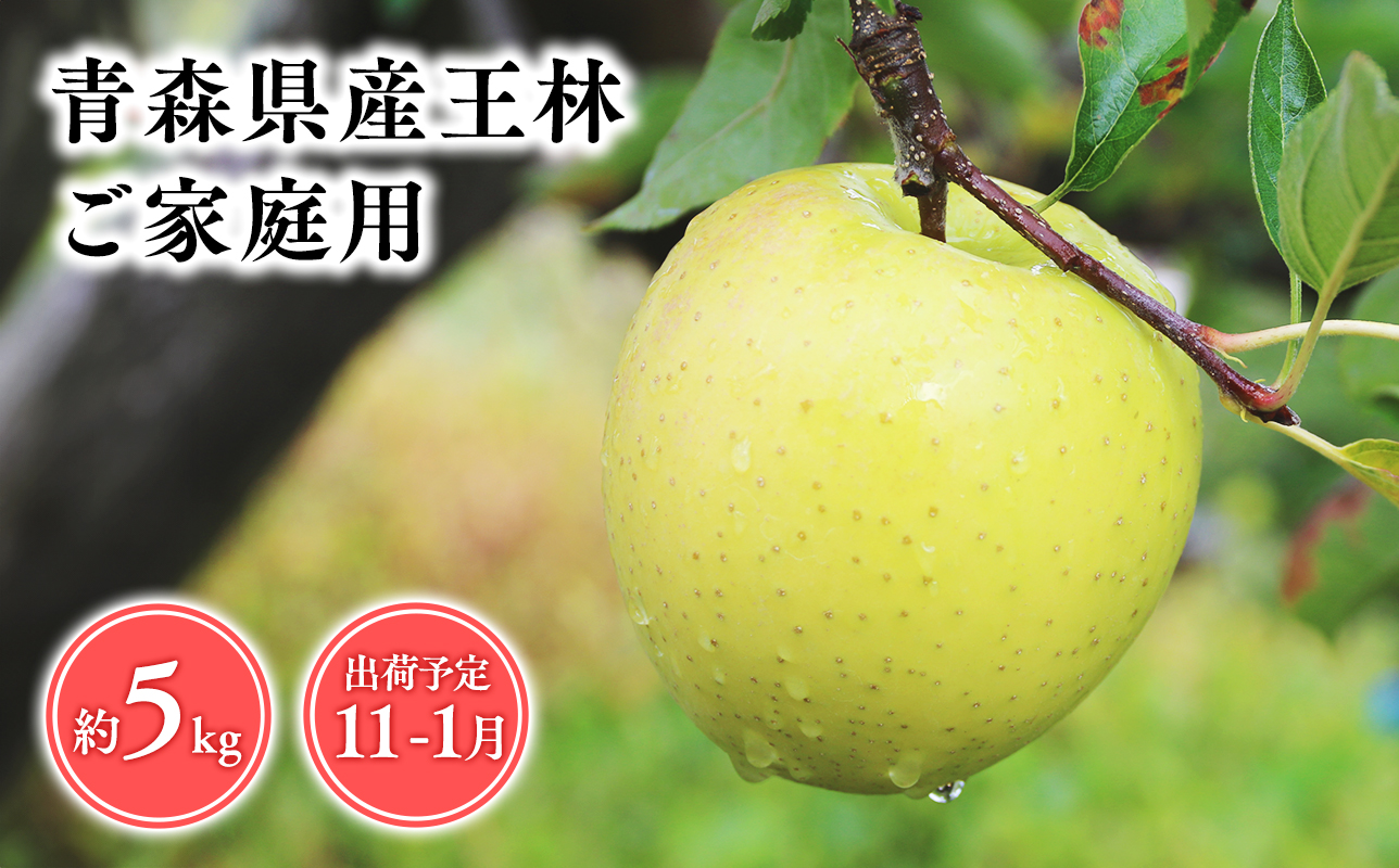 2026年産 １１月～１月発送　【訳あり】家庭用王林5kg【青森県 平川市 そと川りんご園】