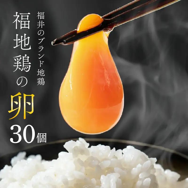 濃厚で甘くておいしい！ 福井ブランド「福地鶏」の卵 30個 ／ 卵 たまご 鶏卵 生卵 有精卵 高級 高級卵 福地鶏 鶏 平飼い 美味しい こだわり 卵かけご飯 料理 あわら市 福井県産 [aw036-a001]