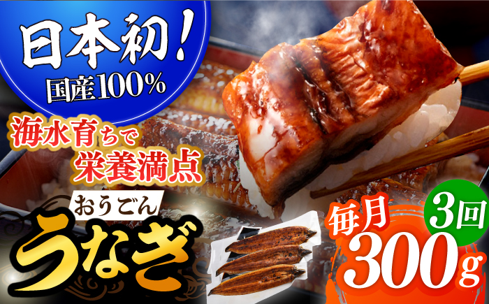 【3回定期便】おうごん うなぎ 300g【（有）松永水産】[KAB138]/ 長崎 平戸 魚介類 魚 うなぎ 鰻 ウナギ 蒲焼 かばやき 定期便