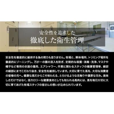 ふるさと納税 氷川町 赤身馬刺し300g【純国産熊本肥育】 たっぷり300g 約100g×3ブロック(タレ5ml×3袋) |  | 01