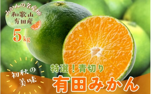 【先行予約】 初秋の美味 農家直送 特選 ! 青切り 有田みかん 5kg＋200g(痛み補償分) ※2026年9月中旬～10月上旬に順次発送 ※北海道・沖縄・離島配送不可 【ard001-p-5B】