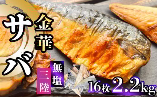 【ふるさと納税】 三陸 金華さば 半身フィレ 2.2kg(16枚) 無塩 冷凍 バラ凍結 ブランド 国産 宮城県産 金華山沖 三陸沖 金華さば さば 鯖 サバ 魚介 大容量 焼き魚 煮魚 味噌煮 お弁当 おかず おつまみ 宮城県 塩竈市 三波食品