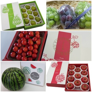 【2026年発送 先行受付】【定期便5回】山形旬の果物5選(さくらんぼ、すいか、シャインマスカット、ラフランス、ふじりんご)_H134(R8)