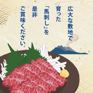 国内肥育 熊本発送 馬刺し 赤身 500g 馬刺し醤油・生姜付き 馬肉