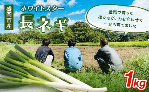 岩手県盛岡市産長ネギ 1kg ねぎ 新鮮 野菜 長ネギ 白ネギ 長ねぎ 白ねぎ 葱 国産 甘い 美味しい おいしい 鍋