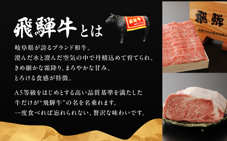 A5等級飛騨牛  霜降り焼肉 500g