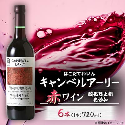 ふるさと納税 七飯町 酸化防止剤無添加　キャンベルアーリー　720ml　6本
