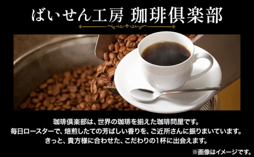 世界の 珈琲豆 10種類 飲み比べセット（挽）＆古墳珈琲ドリップバッグ1袋 株式会社ばいせん工房 珈琲倶楽部《30日以内に出荷予定(土日祝除く)》大阪府 羽曳野市 コーヒー 珈琲