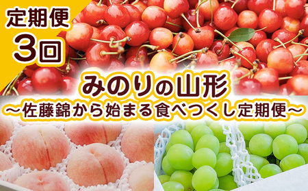 【定期便3回】みのりの山形～佐藤錦から始まる食べつくし定期便～ 【令和7年産先行予約】FU23-708 くだもの 果物 フルーツ 山形 山形県 山形市 2025年産