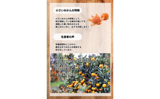  温州みかん 「小粒っこ」 4kg ※箱込み (極早生・早生・中生・晩稲)【2S～3Sサイズおまかせ】【2025年10月中旬～2026年1月下旬までに順次発送】＜味好農園＞/温州 みかん 小玉 蜜柑 