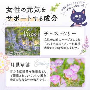 0005-101-01 チェストツリーサプリメント ルミエル 1袋 (31日)