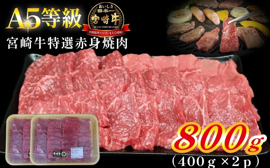 
            【A5等級】宮崎牛特選赤身焼肉 800g  宮崎牛 ブランド牛 和牛 牛肉 焼肉 特選和牛 赤身 A5 宮崎県 小林市
          