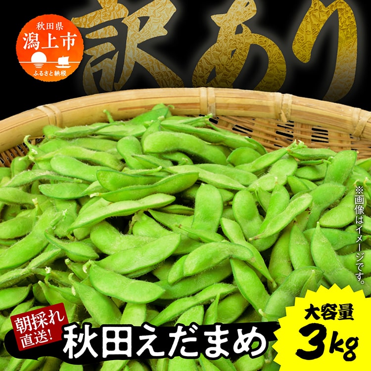 【ふるさと納税】《先行予約》令和7年産 訳あり 枝豆 3kg 農家直送 収穫 当日発送 えだまめ 朝獲れ クール便 発送 朝採り 野菜 夏野菜 おつまみ 晩酌 Bランク お取り寄せ グルメ 潟上市 秋田 おいしい つまみ 【エスジー・ファーム】