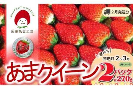 《2026年産先行予約》「西脇市産 佐藤果実工房 あまクイーン」（約270g×２パック 約540g）【佐藤果実工房 全国いちご選手権3年連続上位入賞農園 TVで紹介!】令和８年２月中旬配送分　07-53-2-中旬