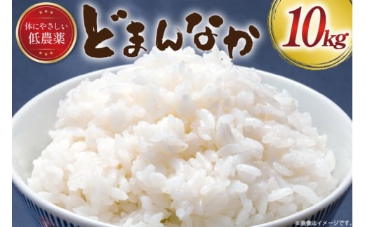 米 令和6年産 どまんなか 白米 10kg [冨樫商店 山形県 高畠町 tk06ayt290000] こめ コメ 精米 ごはん ご飯 ブランド米