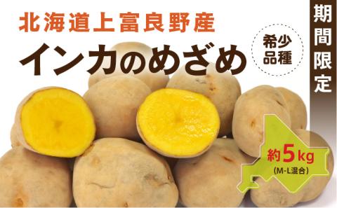 じゃがいも【インカのめざめ】約5kg（M～L混合）≪北海道上富良野産≫