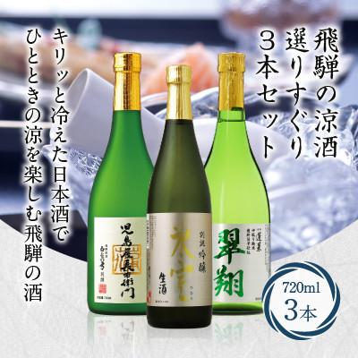ふるさと納税 高山市 飛騨高山の涼酒選りすぐり3本セット b676