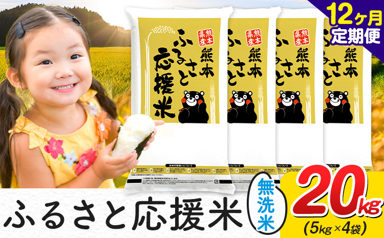 
            【12ヶ月定期便】米 無洗米 家庭用 熊本 ふるさと応援 定期便 米  20kg《申込み翌月から発送》 熊本県産 白米 精米 山江村 ブレンド米 国産 おうちご飯 予約 返礼品 発送 配送 SDGs わけあり むせんまい お米 おこめ
          