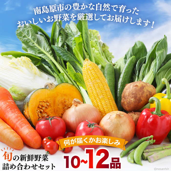 【6回定期便】毎月連続 新鮮 「旬の野菜・フルーツ」 詰め合わせ セット（10品〜12品）/ 野菜 定期便 やさい 定期便 野菜セット/ 南島原市 /長崎県農産品流通合同会社 [SCB095]_イメー