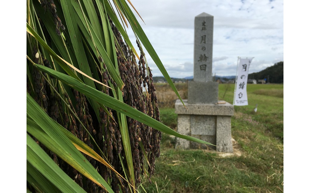稲作発祥の地。未来へつなぐ「月の輪田・清水戸」の保全と魅力発信に関する活動支援 1口 100,000円【返礼品なし】 京都府 京丹後市 地域応援 地域支援 活動応援 活動支援 京都 丹後 返礼品なし　
