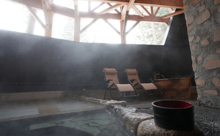 ホテルアベスト白馬リゾート 宿泊補助券 50,000円分／長野県白馬村　宿泊券　チケット　リゾートホテル　温泉旅館　家族旅行　カップル　高原リゾート　避暑地　スキー　スノーボード【K0130559】