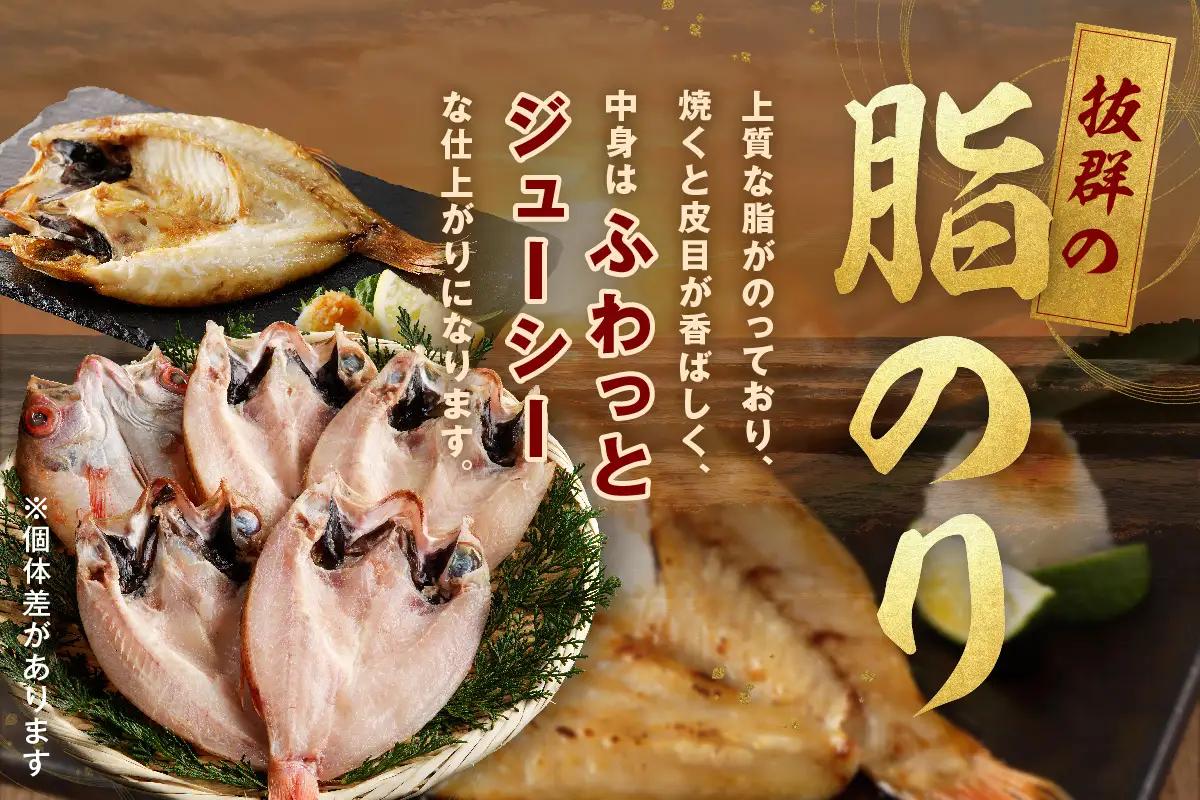 のどぐろ一夜干し500g（計5～7枚）「フライパンでも焼ける超お手ごろ」産地直送 干物 魚 一夜干し 人気 天然 ノドグロ 個包装 冷凍 アカムツ 【005_0138】