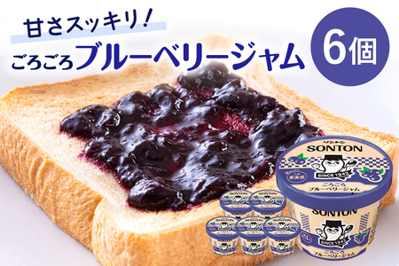 ソントン ファミリーカップ ごろごろブルーベリージャム 130g×6個入 G13-007