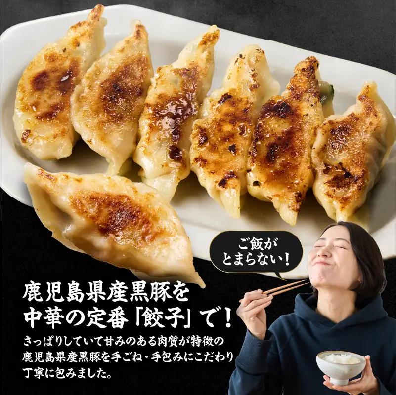 1609-1 鹿児島県産 黒豚生餃子 （20g×9個×6袋） KN065-001-01 肉 豚肉 餃子 惣菜 総菜