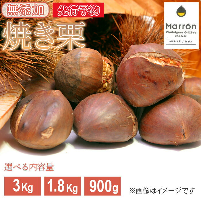 【ふるさと納税】栗 くり 焼き栗 無添加 先行予約 内容量が選べる 900g 1.8kg 3kg 茨城県産 国産 小分け 低温熟成 数量限定 茨城県産焼き栗【ウエノファーム】
