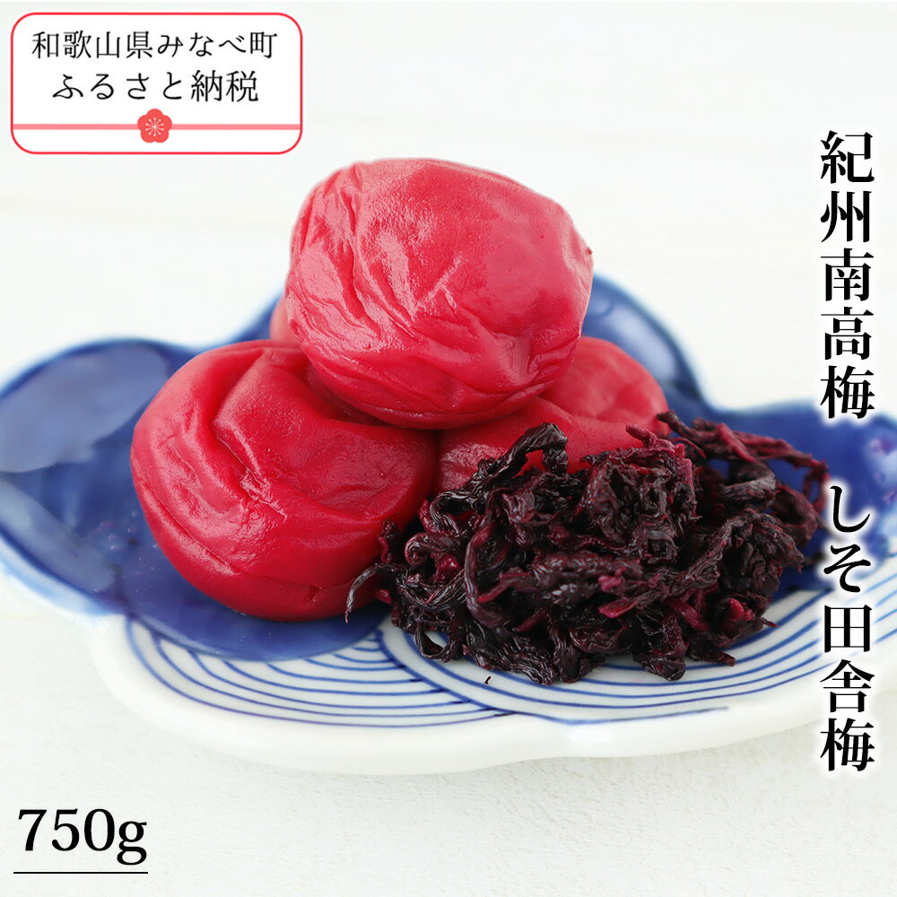 【ふるさと納税】紀州南高梅　しそ田舎梅 | 梅干し 梅干 梅 うめ ウメ しそ 紫蘇 ご飯のお供