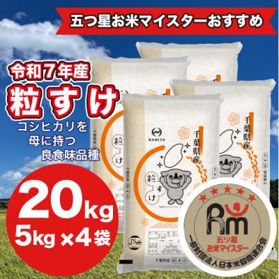 ふるさと納税 大網白里市 【令和7年産】千葉県産粒すけ 精米 20kg (5kg×4袋)