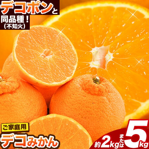 【ふるさと納税】不知火 訳あり デコみかん 約2kg or 約 5kg 12〜24玉前後《2027年2月上旬-4月上旬頃出荷》デコポン（不知火）と同品種 不知火 熊本県産 (長洲町産含む) 訳あり デコ 柑橘 みかん フルーツ 果物 旬 期間限定 ご家庭用